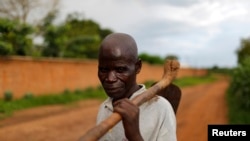  የማላዊው ገበሬ በበቆሎ ማሳቸው ውስጥ ሲዘዋወሩ ዋና ከተማዋ አካባቢ ሊሎንግዌ፣ ማላዊ