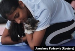 Seorang peserta menggendong anak kucing di tengah melakukan yoga di sebuah studio di New Delhi, India, 6 Agustus 2023. (Foto: REUTERS/Anushree Fadnavis)