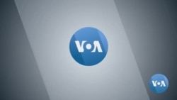 နွေဦးတော်လှန်ရေး ပြည်ပရောက်မြန်မာတွေရဲ့ ရံပုံငွေ