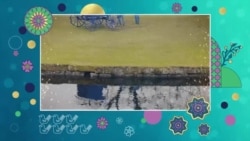 شادباش نوروز به همراهان صدای آمریکا؛ سامان طاهرپور، ماهور، غزاله فیلی‌نژاد