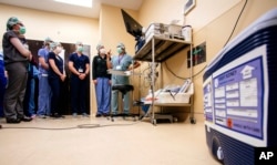 In this photo provided by The University of Alabama at Birmingham, medical researchers prepare for the transplant of a pig's kidney into a donated body on Feb. 15, 2023. (Steve Wood/UAB via AP)