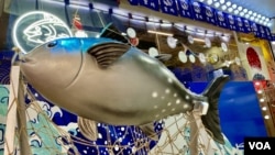 香港政府从2023年8月24日开始禁止日本10个都县水产品进口，有日式餐厅负责人表示，暂时对生意影响不大 (美国之音/汤惠云)