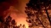آتش‌سوزی در جنگل‌ها (آرشیو)
