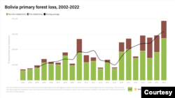 The primary forest loss in Bolivia 2002-2022, in hectares.