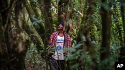 FILE - Jiersingh Nongrum, a member of the clan that cares for Swer sacred forest in the East Khasi Hills region of Meghalaya near Cherrapunji, on Sept. 7, 2023.