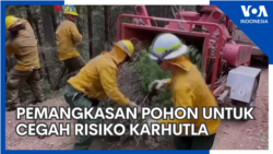 Pemangkasan Pohon untuk Cegah Risiko Karhutla