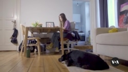 Exile offers little protection for Russian journalists