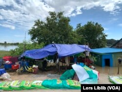 អ្នកស្រី សេងស្រីណែត បានស្នាក់នៅក្រោមតង់កៅស៊ូលើផ្លូវជាបណ្តោះអាសន្ន ដោយសារ​ផ្ទះ​របស់​អ្នកស្រី​ត្រូវបាន​ជន់លិចដោយជំនន់ទឹកស្ទឹងព្រែកត្នោត ក្នុងសង្កាត់សាក់សំពៅ ខណ្ឌដង្កោ រាជធានី​ភ្នំពេញ។ រូបនេះ ថតនៅថ្ងៃទី២៣ ខែតុលា ឆ្នាំ២០២៣។ (លាស់ លីបលីប/វីអូអេ)