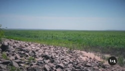Water shortage caused by dam breach hits southern Ukraine 