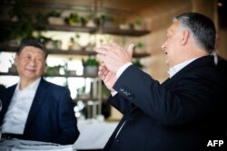 Presiden China Xi Jinping dan Perdana Menteri Hongaria Viktor Orban berbincang di sebuah restoran di Budapest, Hongaria, 10 Mei 2024. (Foto: via AFP)