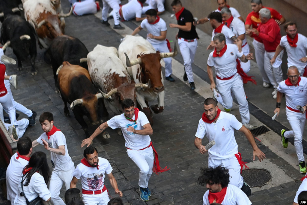 هیجان گاوبازی در خیابان&zwnj;های اسپانیا؛ جشنواره سن&zwnj;فرمین، ژوئیه ۲۰۲۴