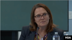 Oq uy sobiq rasmiysi Liza Kurtis deydiki, Markaziy Osiyo davlatlari siyosiy jihatdan isloh qilinishi kerak