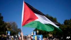 Palestinska zastava na kampusu univerziteta UCLA u Los Anđelesu (Foto: AP/Jae C. Hong)