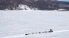 Alaskan Dogsled Race Begins with Smallest Field Ever 