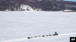 FILE - Brent Sass heads down the Yukon River between Ruby and Galena, Alaska, on March 13, 2020, during the Iditarod Trail Sled Dog Race. 