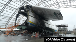 Хвостова частина "Мрії" в аеропорту Гостомеля після знищення літака росіянами. Лютий, 2024 р.