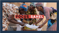 Focus Sahel, épisode 35 : les crises environnementales
