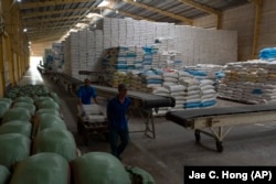 Two employees work in a warehouse packed with bags of rice packaged for shipment at Hoang Minh Nhat, a rice export company in Can Tho, Vietnam, Friday, Jan. 26, 2024. (AP Photo/Jae C. Hong)