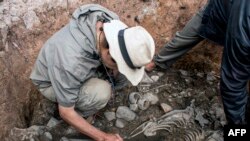 Photo released by Peruvian Ministry of Culture on August 27, 2023 shows an archaeologist next to the remains of a 3,000-year-old priest's tomb, at Pacopampa archeological site, in Cajamarca, Peru.