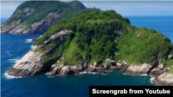 برازیل کے سانپوں کے جزیرے ایلاڈا فیماڈا گرینڈے کا ایک منظر۔ فائل فوٹو