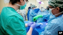 In this photo provided by The University of Alabama at Birmingham, medical researchers collect a kidney biopsy during the transplant of a pig's kidney into a donated body on Feb. 15, 2023. (Steve Wood/UAB via AP)