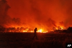 Flames burn a forest during a wildfire in Avantas village, near Alexandroupolis town, in the northeastern Evros region, Greece, Aug. 21, 2023. Dozens of blazes broke out amid hot, dry and windy weather that sucked moisture from vegetation.