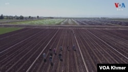 ភាគ៣៖ សហគមន៍​កសិករ​នៅ​វាលខ្សាច់​រដ្ឋ California ត្រៀមខ្លួន​សម្រាប់​ការ​កាត់​បន្ថយ​ទឹក​ទ្រង់ទ្រាយ​ធំ