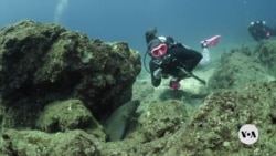 Women's Scuba Diving Community Challenges Surface Assumptions on Sex, Race, Age 