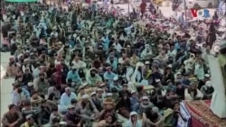 د چمن پرلتوالو او چارواکو تر منځ د خبرو په نتیجه کې تېره اوونۍ نیول شوي تر 40 ﺯيات احتجاج کوونکي ﺭا خوشي شوي دي