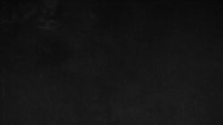 ائتلاف‌های سیاسی ایالات متحده آمریکا در انتخابات ۲۰۲۴