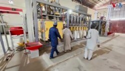 ការផ្អាកកិច្ចព្រមព្រៀងគ្រាប់ធញ្ញជាតិនៅសមុទ្រខ្មៅ ប៉ះពាល់ដល់ផលិតផលស្រូវសាឡីនៅនីហ្សេរីយ៉ា