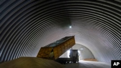 FILE - A truck unloads grain in the village of Zghurivka, Ukraine, Aug. 9, 2022. 