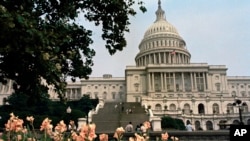Washington Capitol Dome