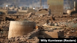 Seekor anjing beristirahat di reruntuhan rumah yang sebelumnya terendam di Waduk Jatigede tetapi kini mengering saat musim kemarau di Sumedang, Jawa Barat, 15 September 2018. (Foto: REUTERS/Willy Kurniawan)