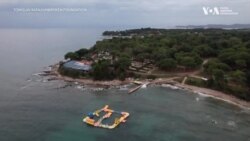 Дайвінг або зцілення водою: Хорватські ветерани започаткували проєкт реабілітації для українських військових. Відео