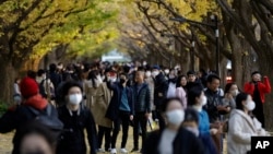 FILE - People wearing protective masks take photos as they walk through the row of ginkgo trees along a sidewalk as the trees and sidewalk are covered with the bright yellow leaves at Jingu Gaien park area on Nov. 28, 2020, in Tokyo. 