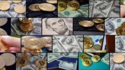 Panorama | ¿Cómo está el mundo criptomoneda en EEUU?