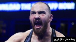 امیرحسین زارعِ، قهرمان جهان