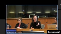 Nghị viên EU Marianne Vind và Saskia Bricmont phát biểu tại hội thảo ngày 28/2/2023. Photo via Cisco Webex.