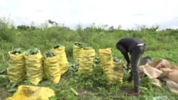 Nigerian food bank directs surplus and unsellable goods to the vulnerable