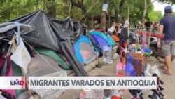 Colombia: Más de 5.000 migrantes se encuentran varados en Antioquia rumbo al Darién