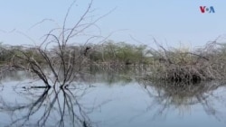 پاکستان سره څيرمه یو هندي کلي کې ورځنی ژوند 