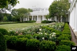 وائٹ ہاؤس کے روز گارڈن کا ایک نظارہ