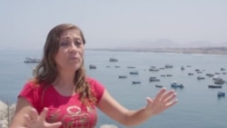 Denuncian impacto ambiental por construcción de puerto de Chancay