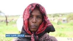 ባለፈው የቦረና ድርቅ ዓመታት ከ3 ሚሊዮን በላይ የቤት እንስሳት ሞተዋል
