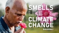 Smells Like Climate Change