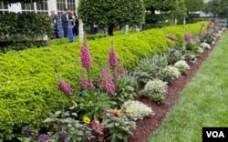 وائٹ ہاؤس کا جیکولن کیینڈی گارڈن