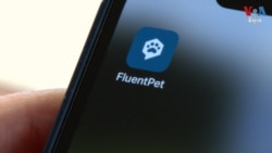 សត្វ​ឆ្កែ​និង​ឆ្មា​ខ្លះ​ចេះ​ប្រើ​ពាក្យ​ដើម្បី​បង្ហាញ​ពី​អ្វី​ដែល​ខ្លួន​ត្រូវការ​និង​ចង់​បាន 