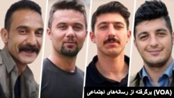 محمد فرامرزی (راست)، وفا آذربار، پژمان فاتحی، محسن مظلوم