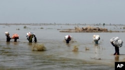 Climate Flood and Development